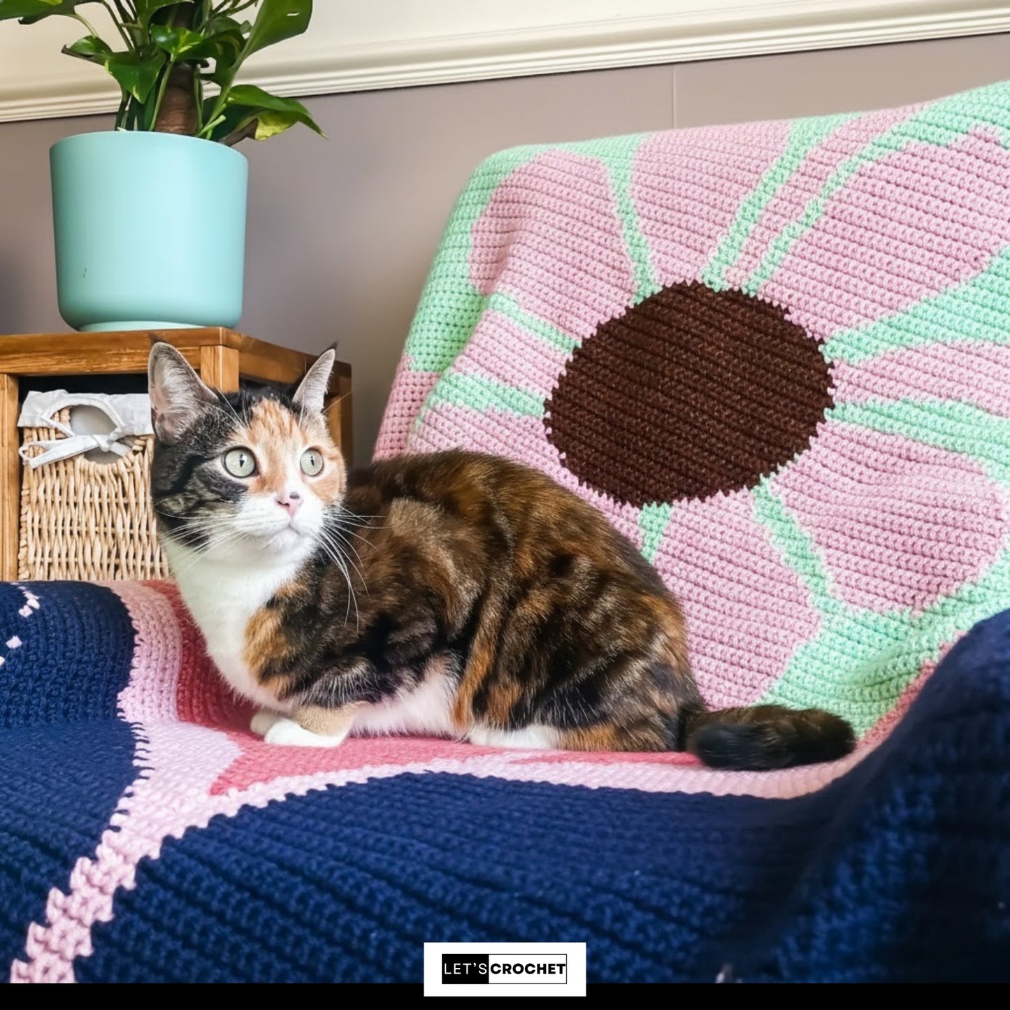 Radiant Petal Graphghan Crochet Pattern