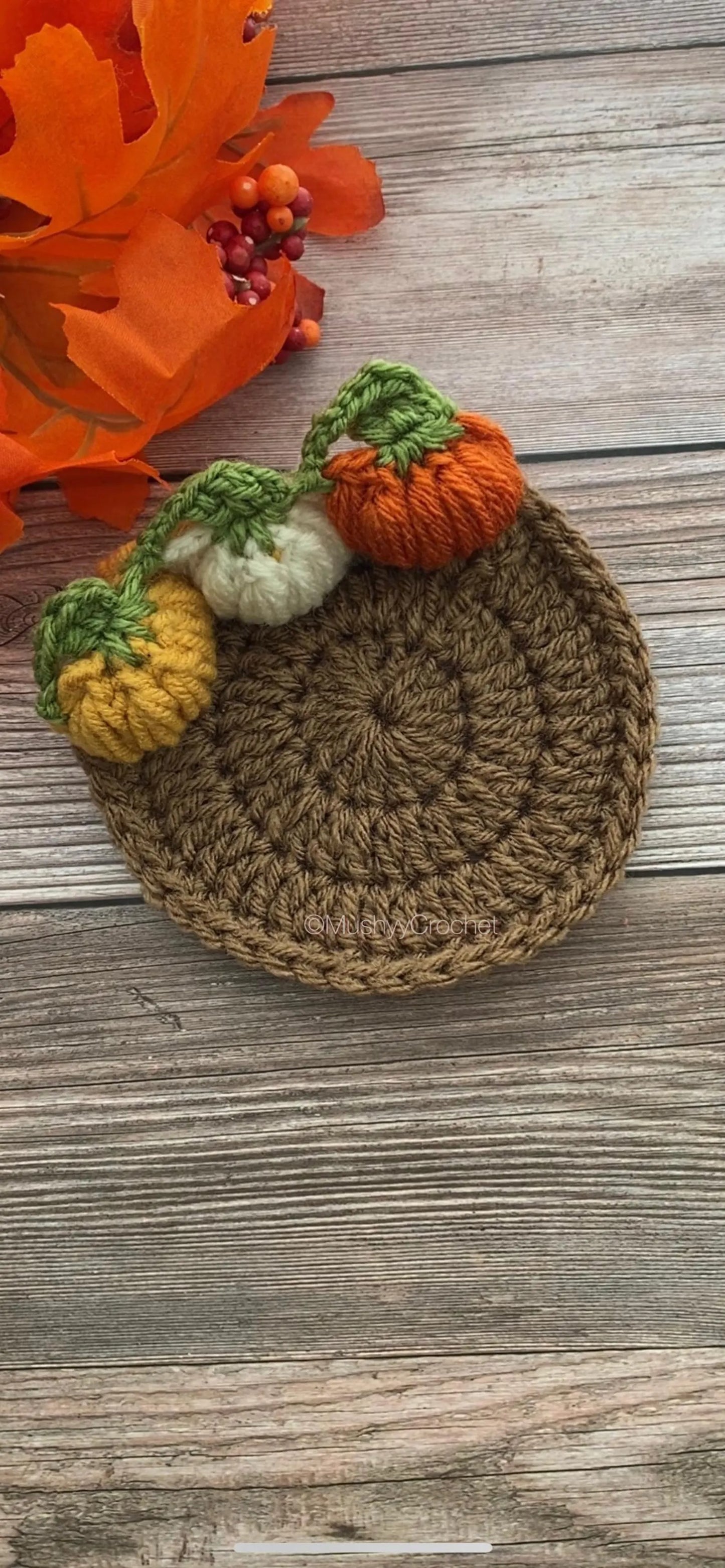 Textured Harvest Table Coaster Crochet Pattern