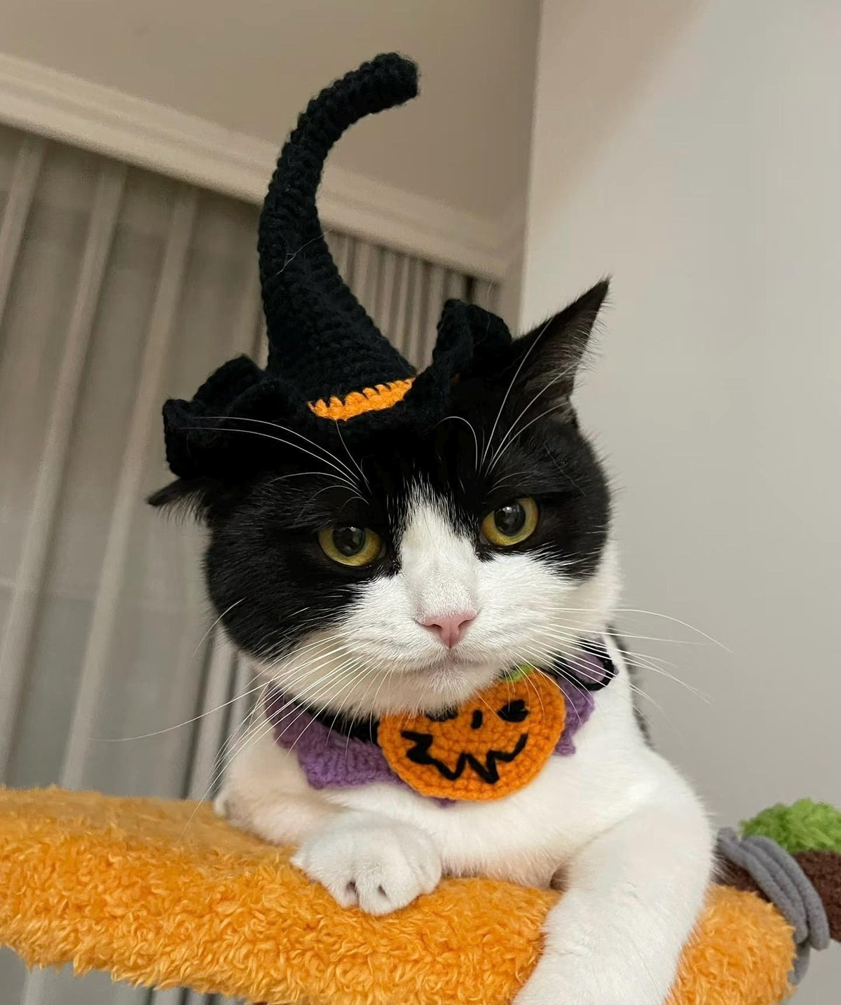Mystic Pet Sorceress Costume Crochet Pattern