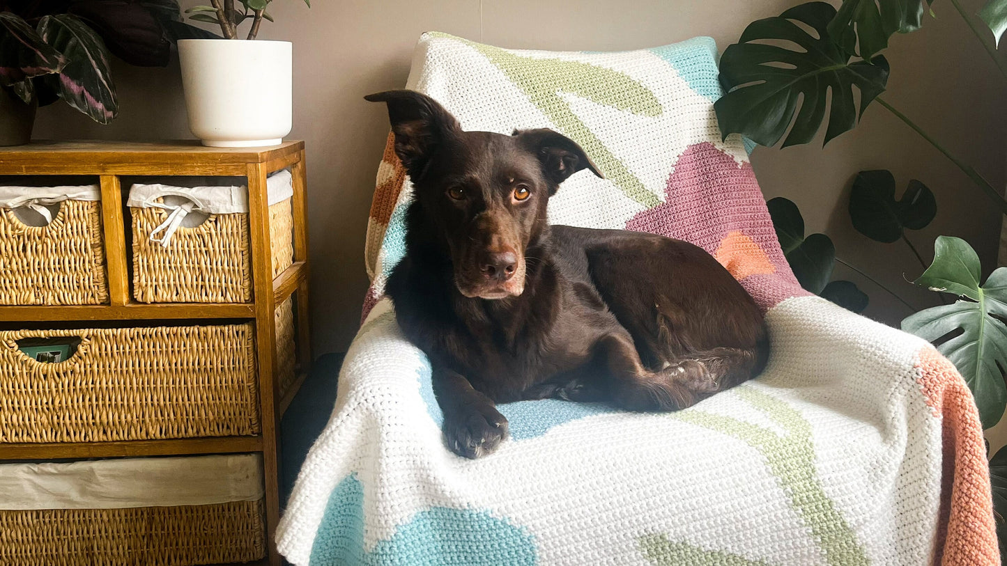 Whisperfield Comfort Home Accent Crochet Pattern