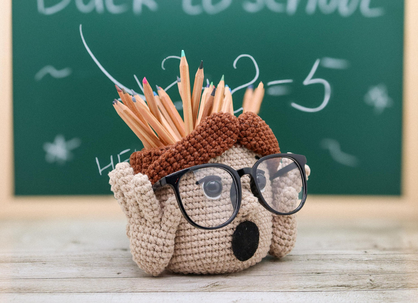 Classroom Desk Caddy Crochet Pattern
