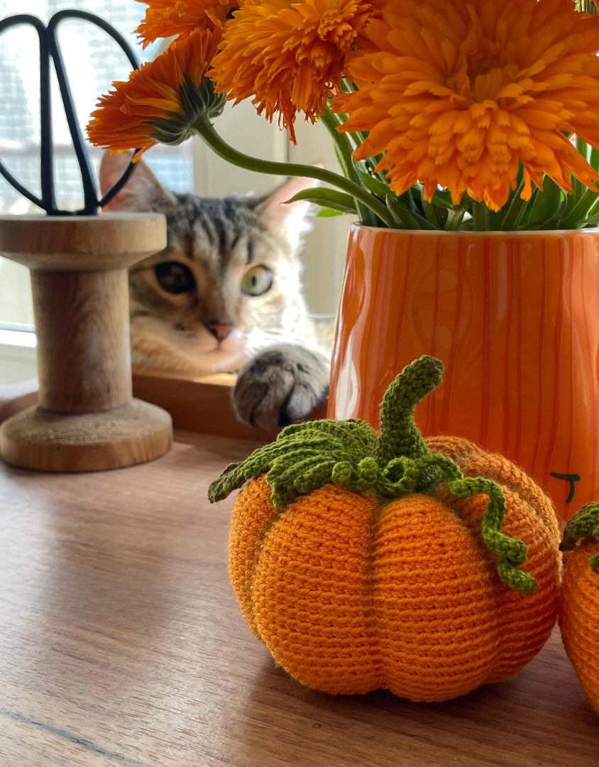 Harvest Gourd Decor Crochet Pattern