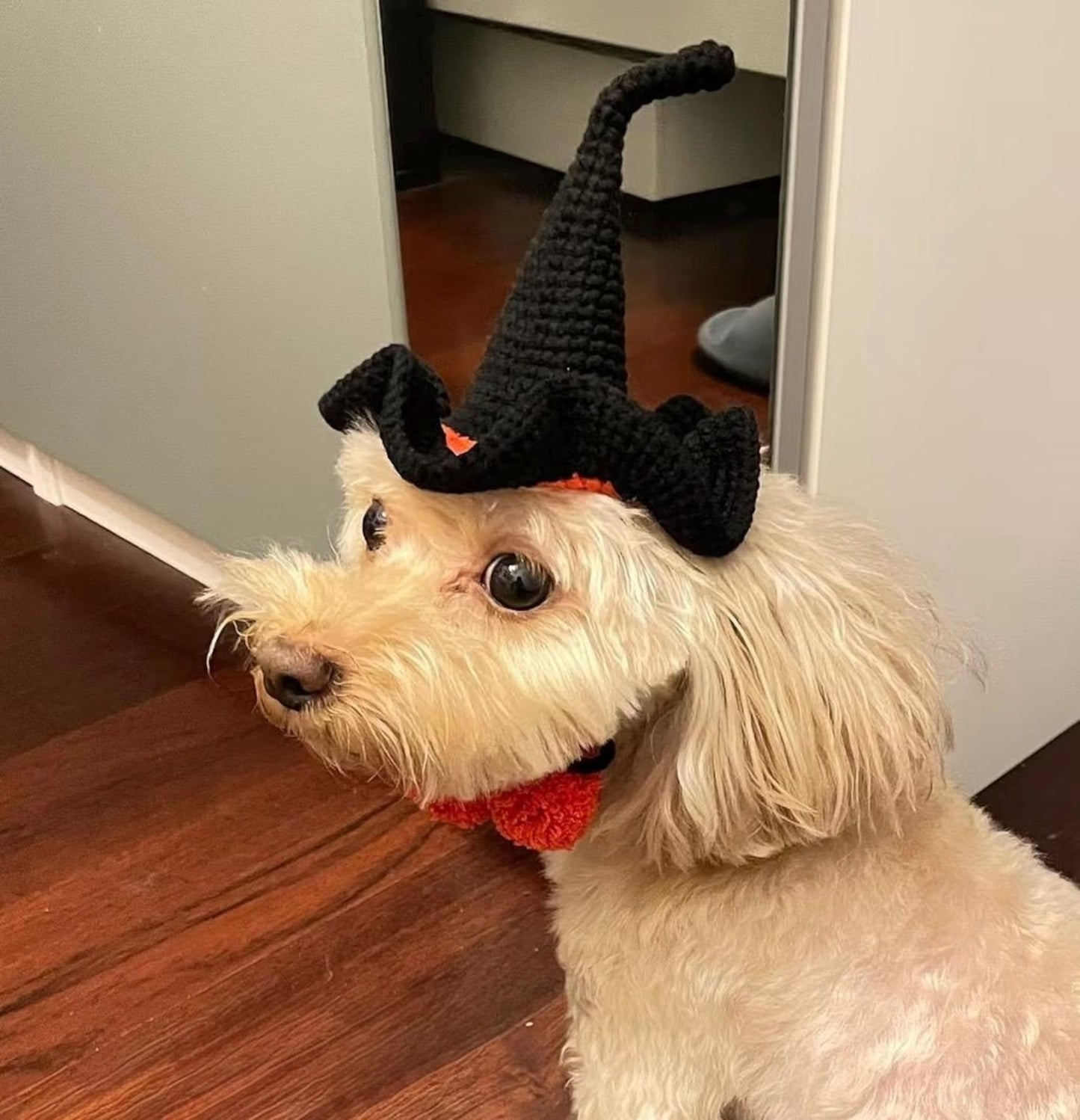 Mystic Pet Sorceress Costume Crochet Pattern