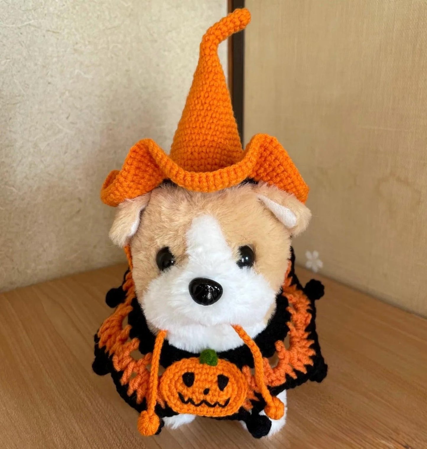 Mystic Pet Sorceress Costume Crochet Pattern
